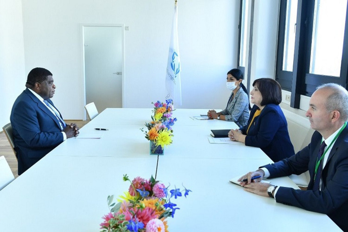 Sahibə Qafarova Parlamentlərarası İttifaqın Baş katibi Martin Çunqonq ilə görüşüb