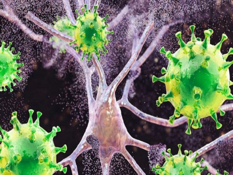 COVID-19 yaymaqda ittiham olundu: 5 il azadlıqdan məhrum edildi