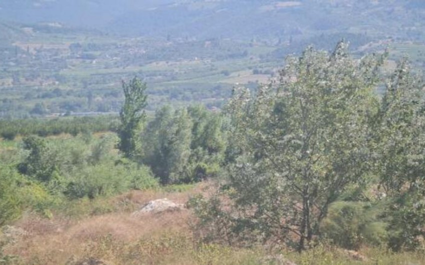 Türkiyədə təlim təyyarəsi qəzaya uğrayıb