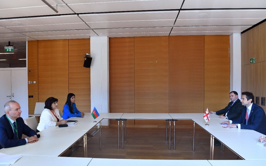 Azərbaycan və Gürcüstanın parlament sədrləri arasında görüş keçirilib