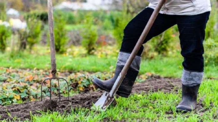 Bağını şumlayarkən tabut çıxdı: İçinə baxanda... - İNANILMAZ