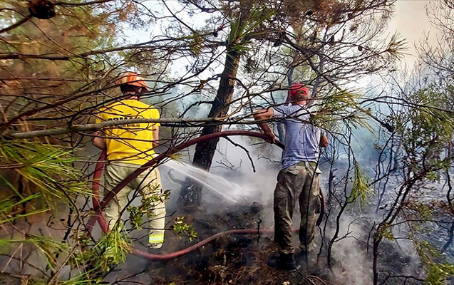 Antalyada meşə yanır - Video