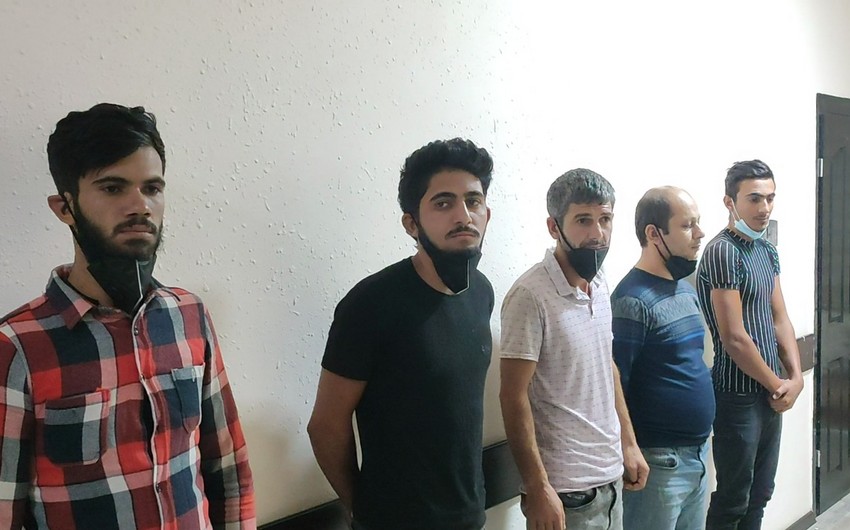 Cəlilabadda mal-qara oğurlayan dəstə saxlanılıb