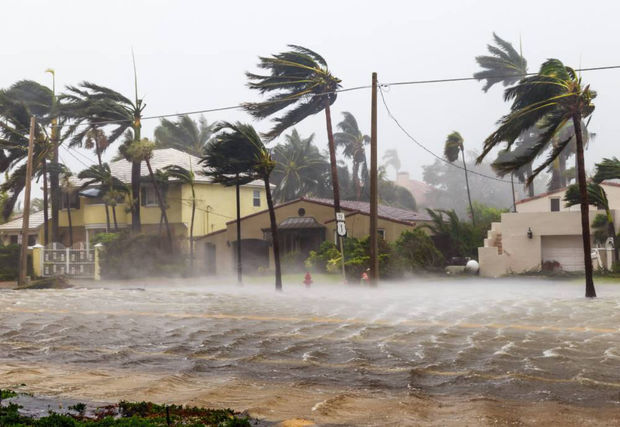 В Мексике объявили высший уровень тревоги из-за приближения урагана 