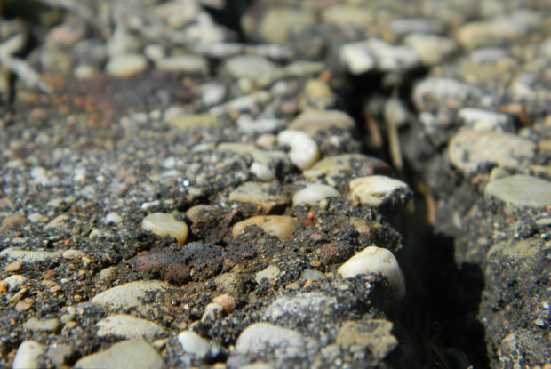 İranda 5,2 bal gücündə zəlzələ