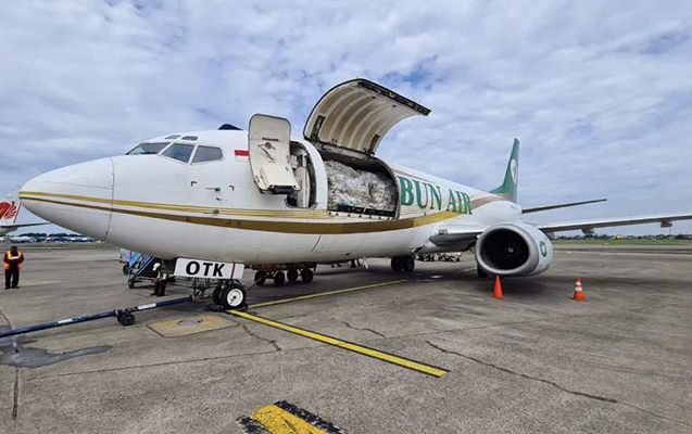 İndoneziyada yük təyyarəsi qəzaya düşdü