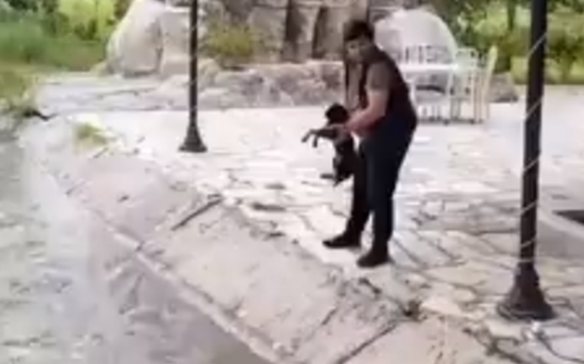 İti su kanalına atan şəxs məsuliyyətə cəlb olunub