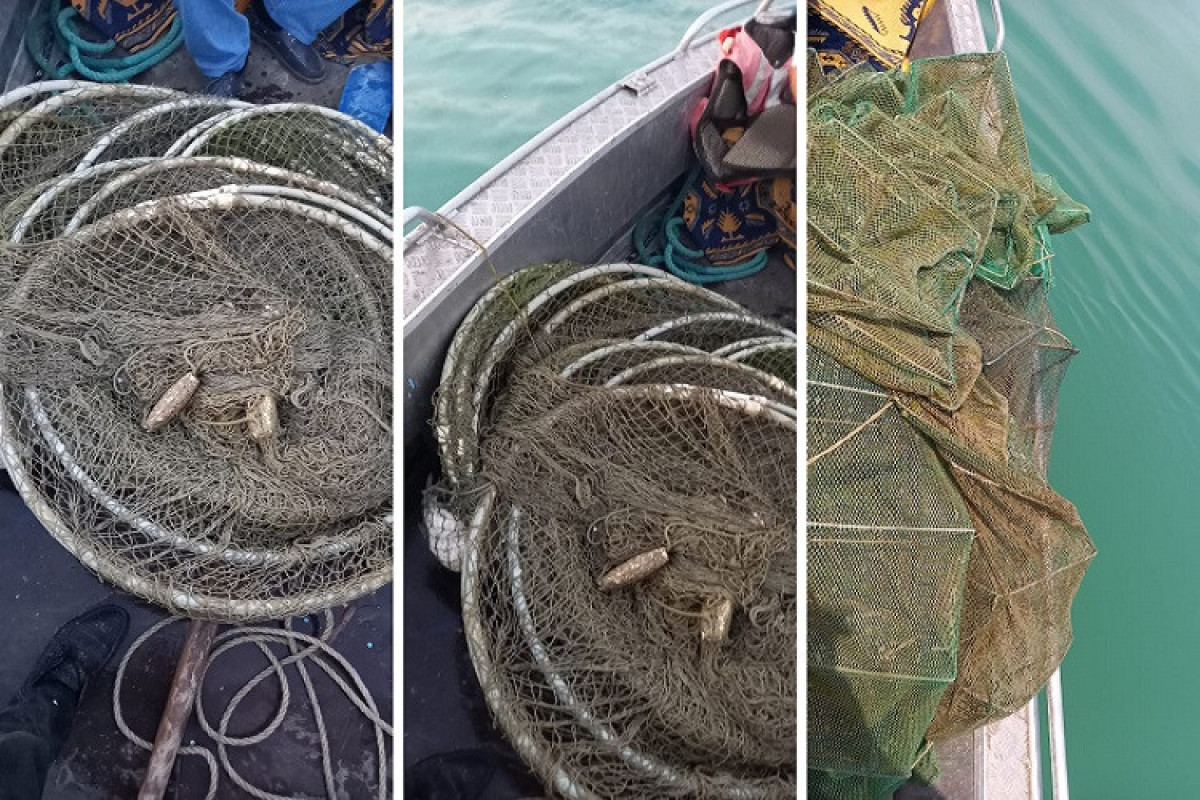 Mingəçevir su anbarında balıq ovuna nəzarət artırılıb