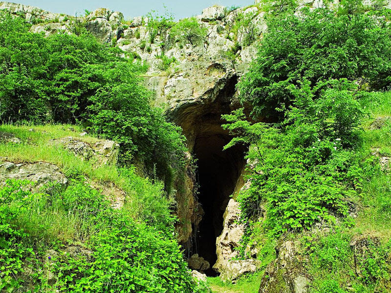 Ermənilər Azıx mağarasından 90 qutu maddi sübut aparmaq istəyirdilər