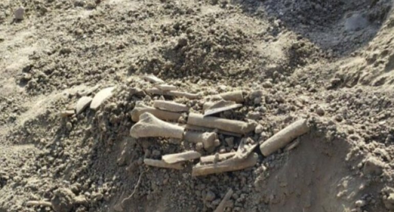 Cəlilabadda qədim məzarlıq aşkarlanıb - FOTO