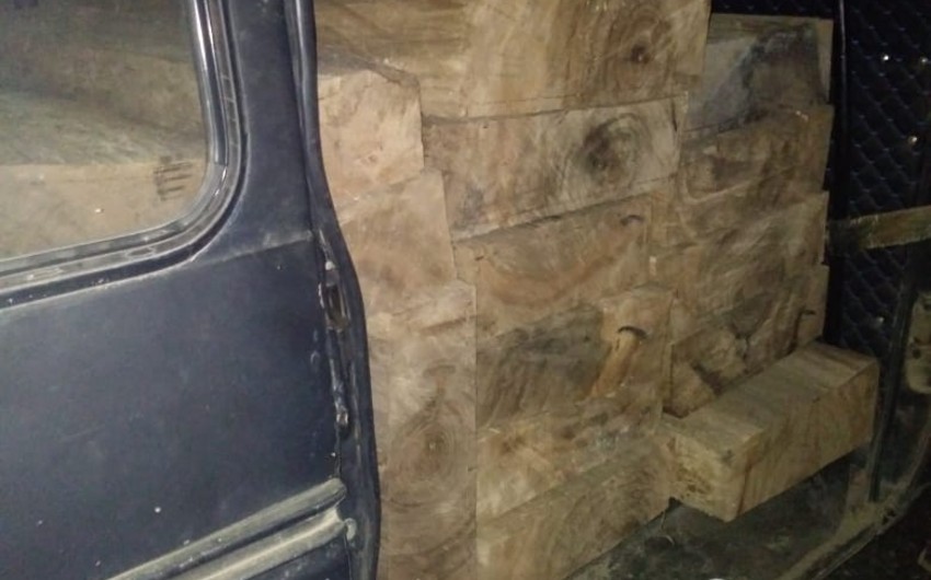Meşə materiallarını qanunsuz daşıyan şəxslər müəyyən edilib, iş prokurorluğa göndərilib