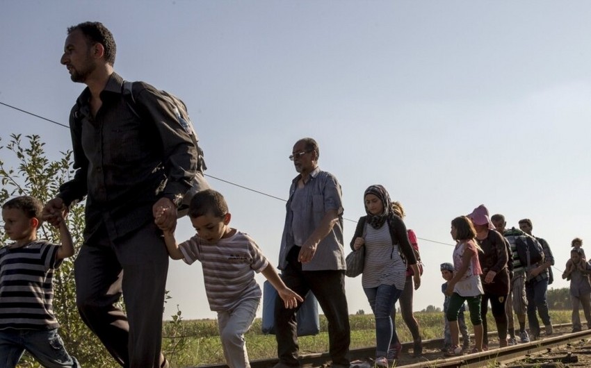 Böyük Britaniyaya rekord sayda qanunsuz miqrant gəlib