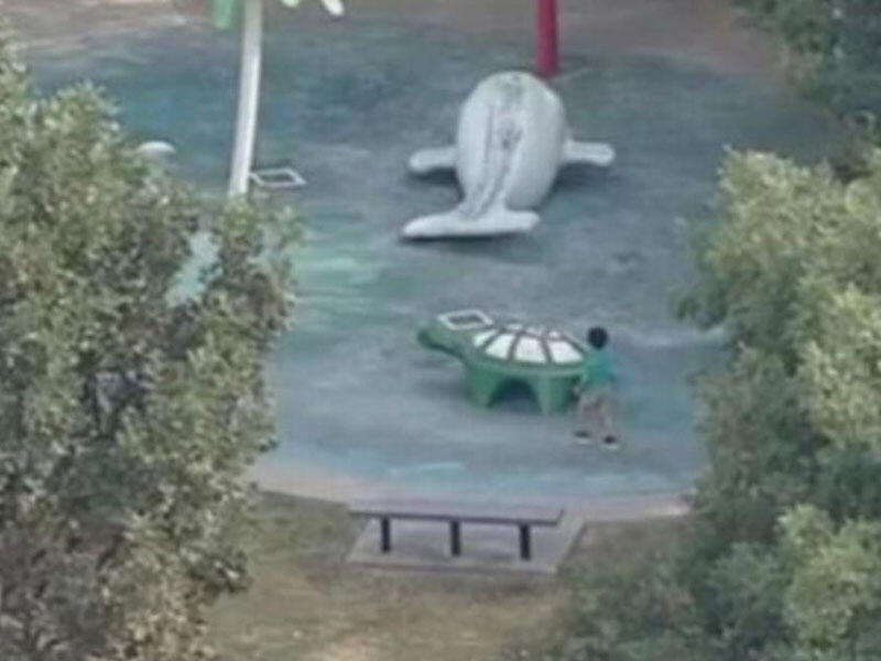 Parkda qorxulu anlar - Qurd uşağın ölümünə səbəb oldu - VİDEO