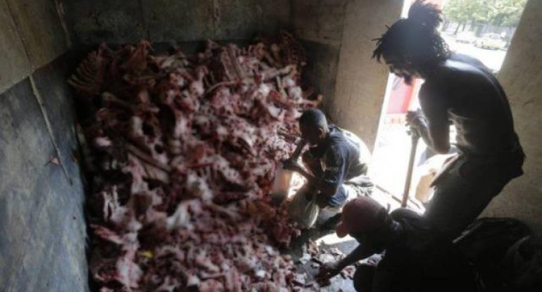 Dəhşətli mənzərə: ölməmək üçün heyvan leşləri yeyirlər - FOTOLAR