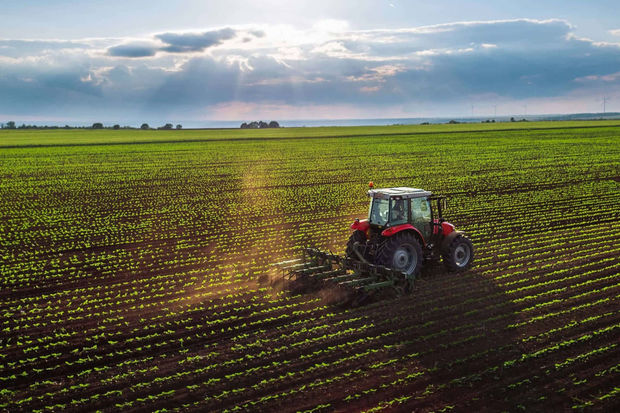 Azərbaycanda pay torpaqları üzərində mülkiyyət hüquqları rəsmiləşdiriləcək - FƏRMAN