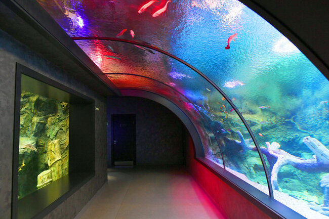 Zoopark nə vaxt istifadəyə veriləcək? - TARİX AÇIQLANDI