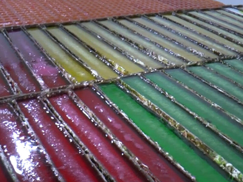 Qənd sexində mənşəyi məlum olmayan maddələr aşkarlandı - YOXLAMA - VİDEO