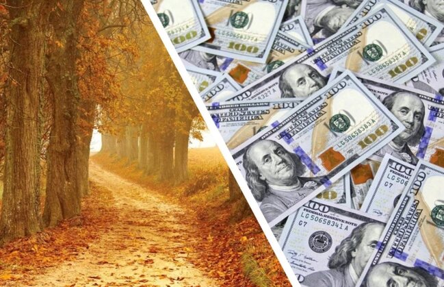 Parkda gəzərkən xırda daş tapdılar, həyatları dəyişdi - FOTO