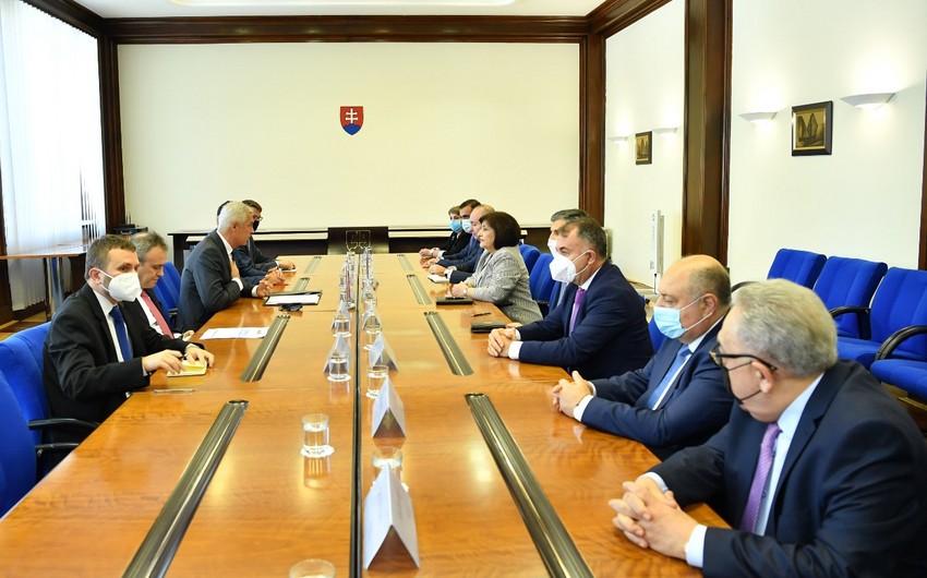 Sahibə Qafarova Slovakiyanın xarici işlər naziri ilə görüşüb