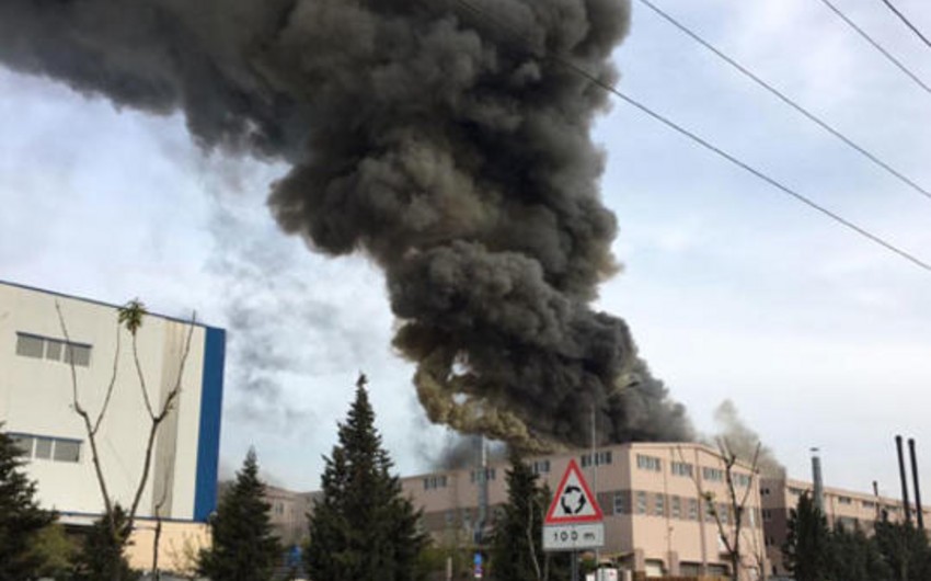 Əfqanıstanda partlayış baş verib, rayon rəhbəri ölüb