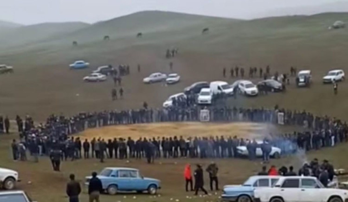 Polis Göygöldə baş verən vəhşiliyi nəzarətə götürdü -VİDEO