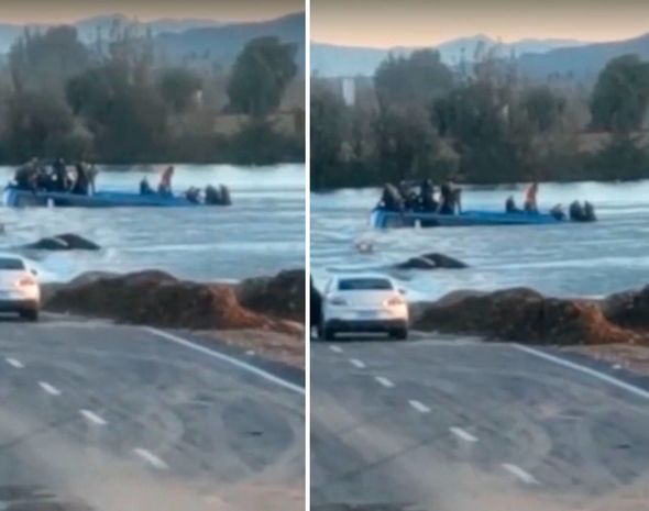 После падения автобуса с рабочими в реку на севере КНР погибли два человека - ОБНОВЛЕНО + ВИДЕО