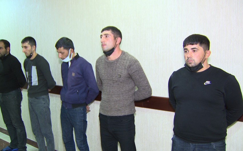 Göygöldə it döyüşləri üzrə “ölkə çempionatı” təşkil edən şəxslər saxlanılıb -VIDEO