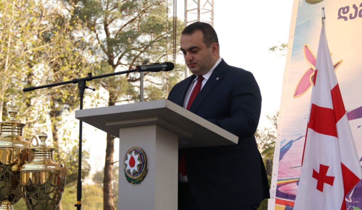 Gürcüstan xarici işlər nazirinin birinci müavini: “Azərbaycan hər zaman yanımızda olub”