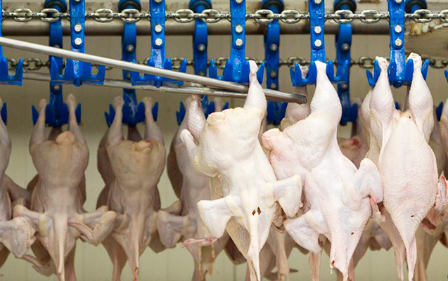 Bu ölkədən quş əti və yumurtanın idxalına məhdudiyyət qoyuldu