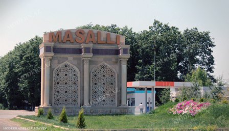 Masallıda qanunsuz ağac kəsənlərə qarşı cinayət işi açıldı