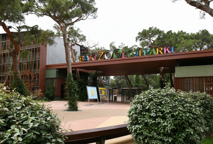 Bakı zooparkında maraqlı görüntülər - VİDEO