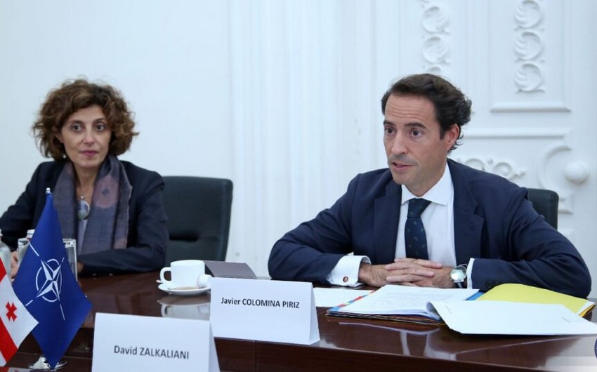 NATO-nun xüsusi nümayəndəsi: “Gürcüstan Azərbaycan-Ermənistan münasibətlərində vacib rol oynayır”