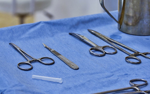 Amerikalı həkimlər insana donuz böyrəyi köçürdü