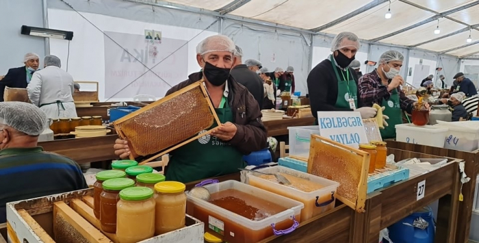 Bakıda bal yarmarkası fəaliyyətə başlayıb