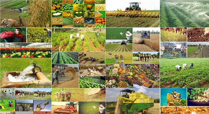 Regionların sosial-iqtisadi inkişafının əsas istiqamətləri – TƏHLİL