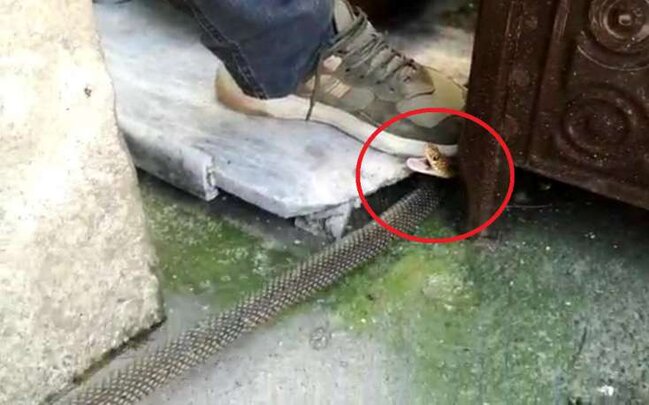 Qapını açıb otağa daxil oldu - Gördüklərindən DƏHŞƏTƏ GƏLDİ - FOTOLAR