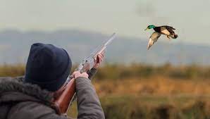 Qanunsuz ov edən əcnəbi vətəndaşlar cəzalandırılıb