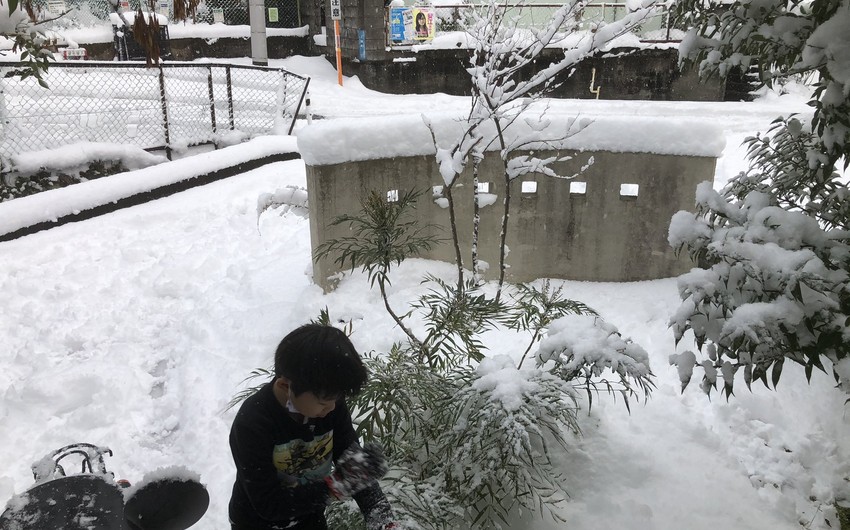 Güclü qar Hindistanda azı 11 nəfərin həyatına son qoyub
