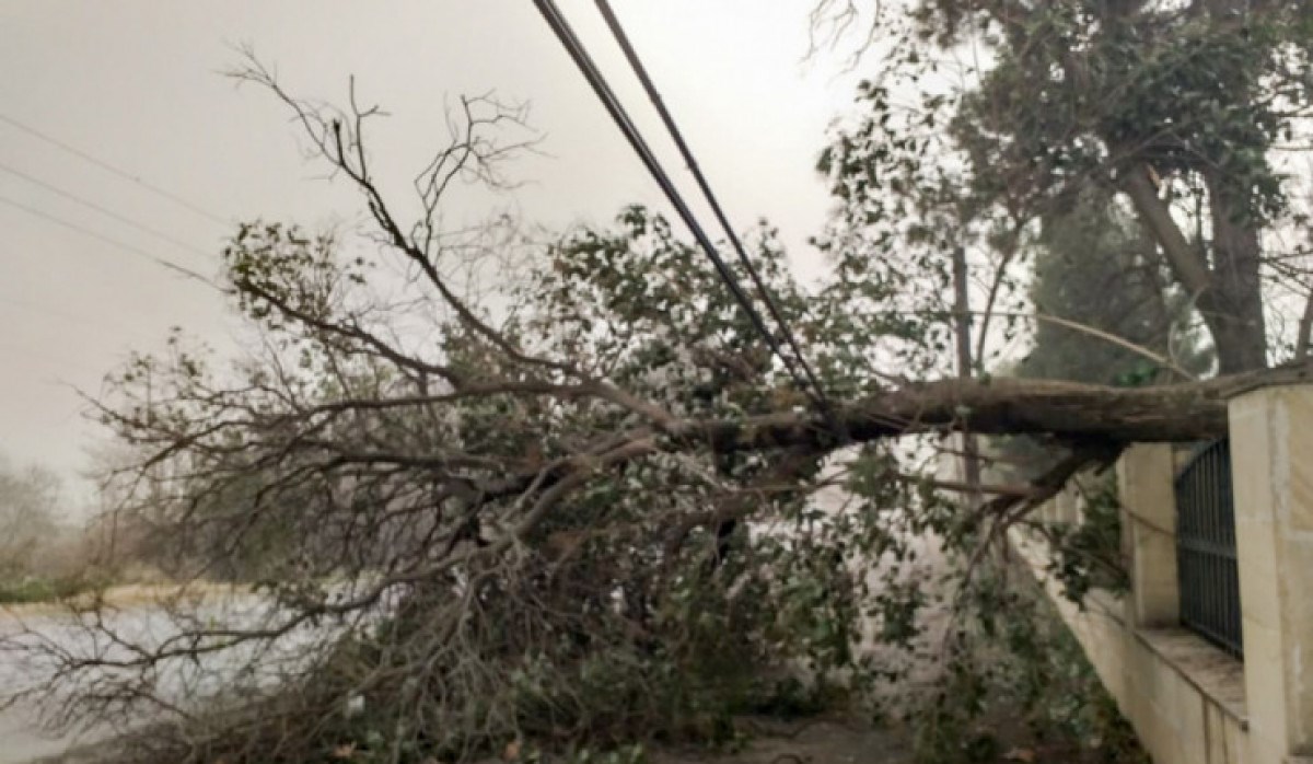 Güclü külək Ağdam və Tərtərin elektrik təchizatında problem yaradıb