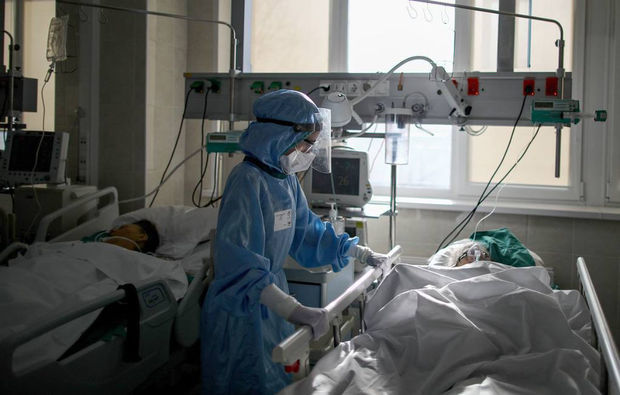 В России зафиксирован новый максимум смертности от COVID-19