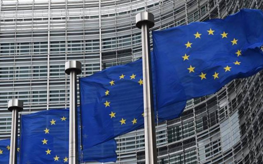 Avropa İttifaqı meşələrin qorunması üçün 1 milyard avro ayırıb