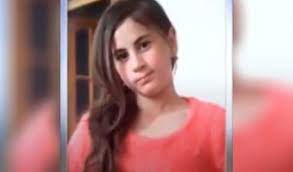 Nərmin itkin düşən günü kəndə gələn naməlum şəxslər kimlər olub? — Yeni faktlar