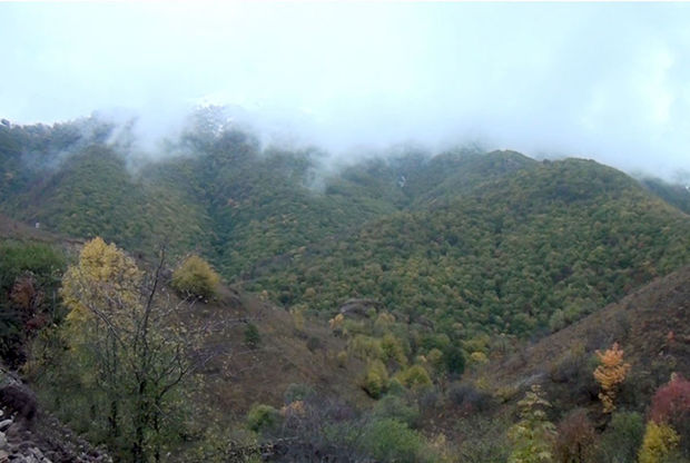 İşğaldan azad olunmuş Təkdam kəndindən görüntülər - VİDEO