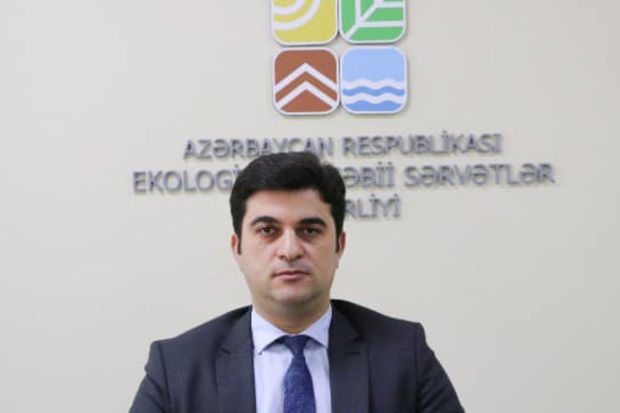 Azərbaycanda vəzifəli şəxs vəfat etdi