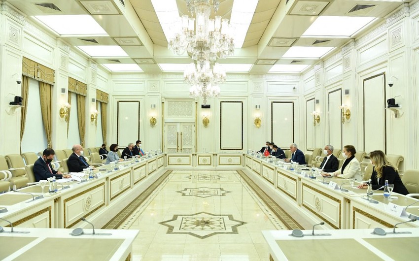 Sahibə Qafarova TBMM-in Azərbaycanla dostluq qrupunun üzvləri ilə görüşüb