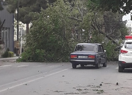 Küləyin fəsadlarından 11 nəfər xəsarət alıb