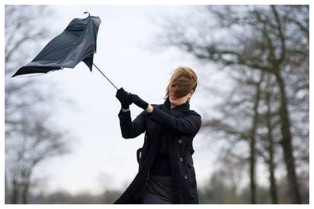 Когда в Баку стихнет сильный ветер? - ЗАЯВЛЕНИЕ