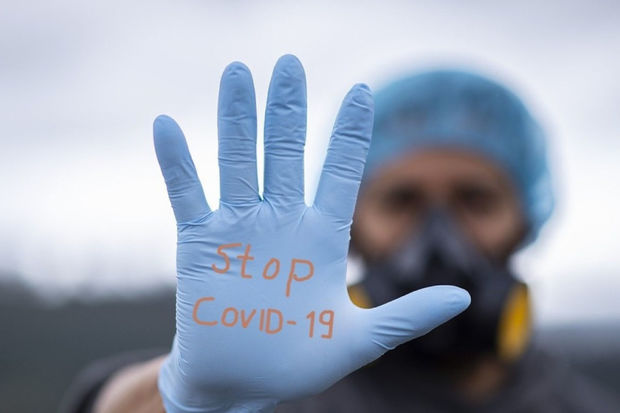 В ВОЗ предположили, когда может завершиться пандемия COVID-19