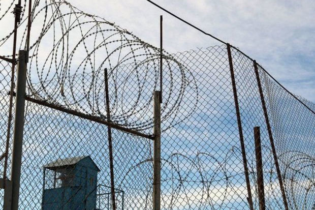 Сколько распоряжений о помиловании подписано в Азербайджане до сегодняшнего дня? - ОФИЦИАЛЬНО