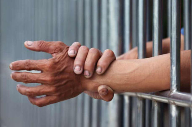 Azadlığa çıxan məhkumların cəmiyyətə adaptasiyası ilə bağlı tətbirlər görülür - RƏSMİ